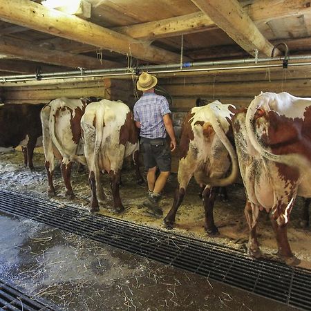 Ferienhof Pfefferbauer Saalbach-Hinterglemm Eksteriør billede