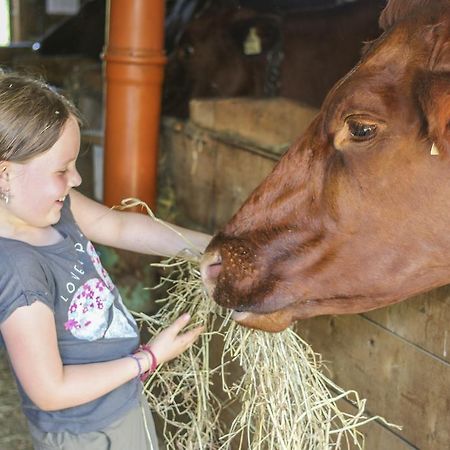Ferienhof Pfefferbauer Saalbach-Hinterglemm Eksteriør billede