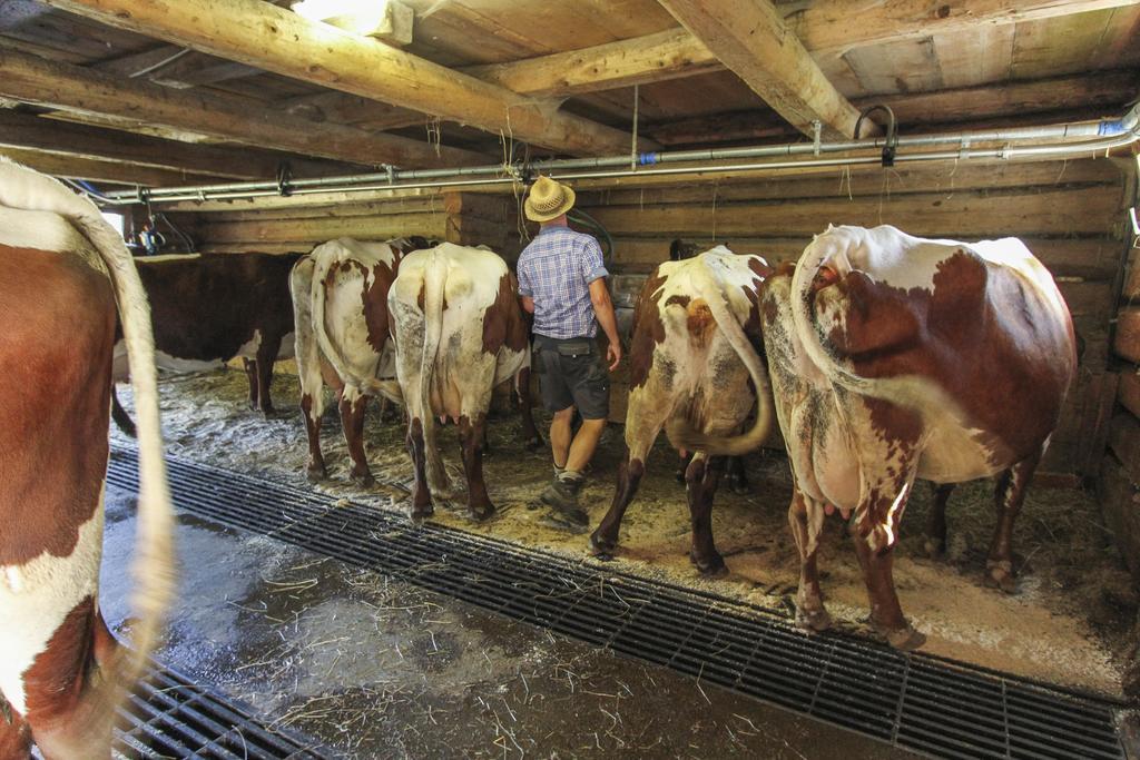 Ferienhof Pfefferbauer Saalbach-Hinterglemm Eksteriør billede