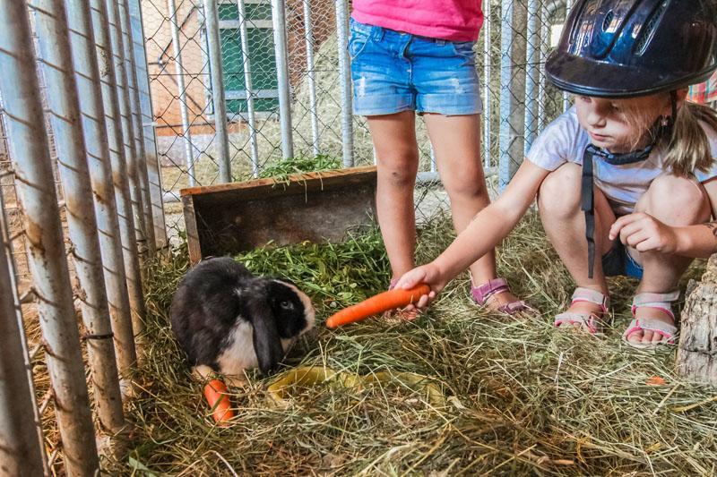 Ferienhof Pfefferbauer Saalbach-Hinterglemm Eksteriør billede